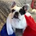 Leo le bulldog 🇫🇷 🇪🇺 (@leolebulldog) Twitter profile photo Leo le bulldog 🇫🇷 🇪🇺 (@leolebulldog) Twitter profile photo