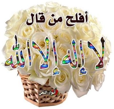 vghxvds's profile picture. 