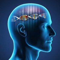 Stéphane Deharvengt (@drfhdsna) 's Twitter Profile