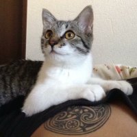 tok from JAMHOWSNAIL (@ht69045) 's Twitter Profile Photo tok from JAMHOWSNAIL (@ht69045) 's Twitter Profile Photo
