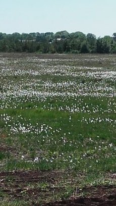 LuLucahoo's profile picture. say what you mean and mean what you say