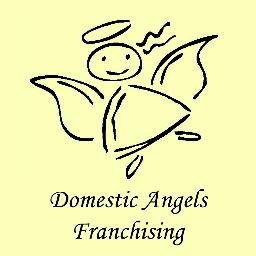 Be your own boss on YOUR terms, as a Domestic Angels Franchisee!

Book your Discovery Call today 0333 577 2650 🙌