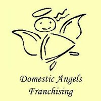 Domestic Angels | Cleaning Franchise (@dangelfranchise) 's Twitter Profile