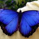 Grace Parrott - @GraceParrott - Twitter