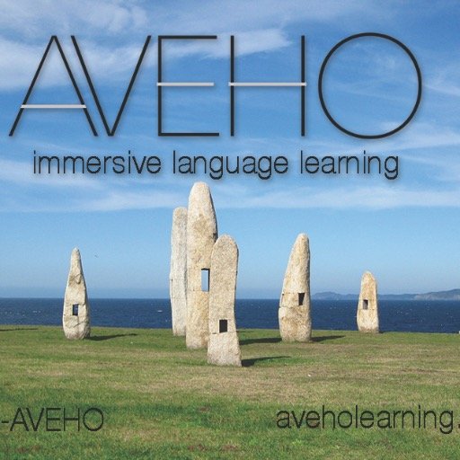 #AvehoLearning is a disruptive language learning startup that uses the video game platform to keep students engaged while learning to speak #aforeignlanguage