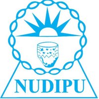NUDIPU(@NUDIPU) 's Twitter Profileg
