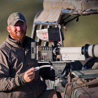 Wim Vorster (@wildwebafrica) 's Twitter Profile