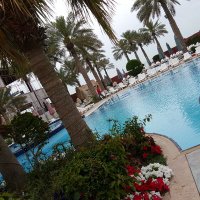 ابتهاج بنت سلطان (@ebtehajsultan) 's Twitter Profile
