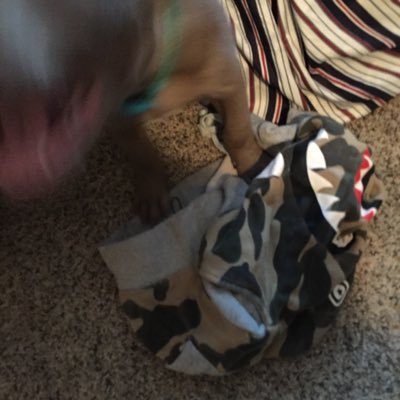 Vrtfrisco's profile picture. camoedup@gmail.com