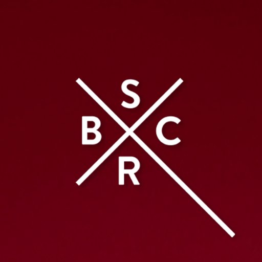 Sir Bob Cornelius Rifo's side project #SBCR @bloodybeetroots. SBCR & Punks V3 out now on @dimmak