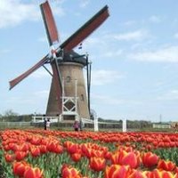 ATA DLD (@ata_dld) 's Twitter Profile