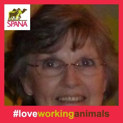 Love my family. Love animals great and small. Cannot tolerate any form of cruelty.