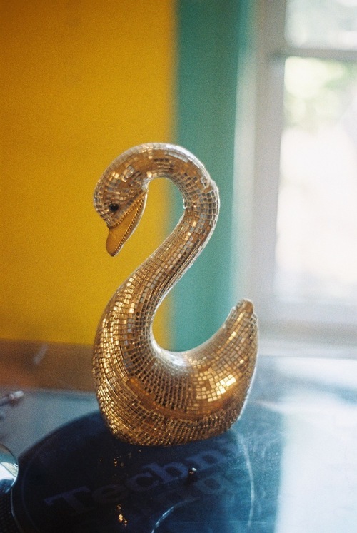 whoreheyt's profile picture. lover, do you want chevre?