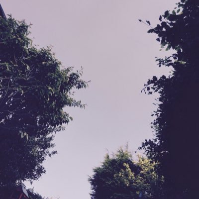 WritingEndOfDay's profile picture. Words on 'blog', pictures on Instagram, and all linked up by Facebook and Twitter.