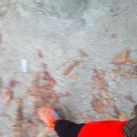 Cécile Roudeau (@cecileroudeau1) 's Twitter Profile Photo Cécile Roudeau (@cecileroudeau1) 's Twitter Profile Photo