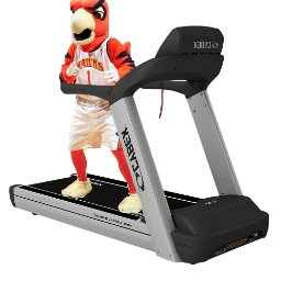 Treadmills4EVA's profile picture. 