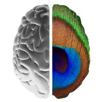 LewPeaLab (@lewpealab) 's Twitter Profile