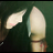 kattra's profile image