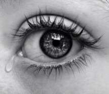 saruccassan1's profile picture. 