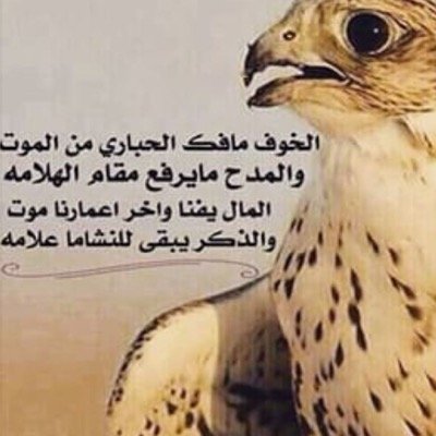 سُبحان الله الحمدلله لا إله إلا الله أستغفر الله و أتوبُ إليهِ. تابعني اتابعك