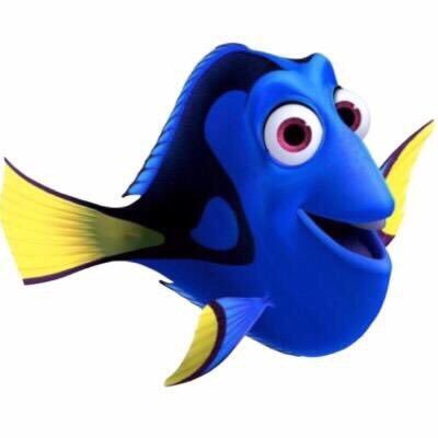 stop trying to find me. *parody* *not affiliated with @disneypixar or @findingdory* *we own no content posted*