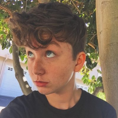 DeafeningBeauty's profile picture. ((Human of: @Ravenstar_cat)) [16 years old] [''All is fine, All is good.''] [single] [[Face is Amandaschronicles from youtube]] [#WCHRP]