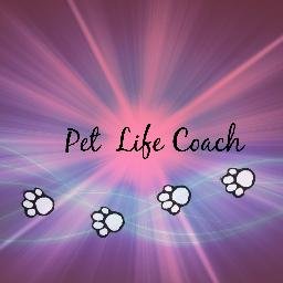 Here to help you enrich your pet's life.
My name is Jessica & I want to help you give your dog the best life possible, through bonding activities to products