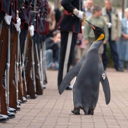 jrob6691's profile picture. Australian.