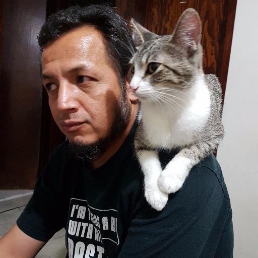 Desarrollador de software, desarrollador de juegos, streamer en Twitch, fanático de mis gatitas