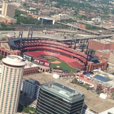 PeytonLapp's profile picture. play baseball hard and never give up