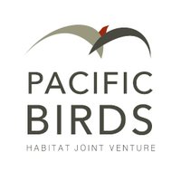 Pacific Birds(@PacificBirds) 's Twitter Profile Photo