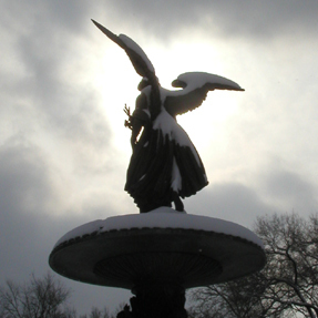 DavidStewart's profile picture. 