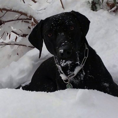 philipp150203's profile picture. Youtube