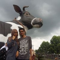 Ichda Satria F A (@figraha) 's Twitter Profile