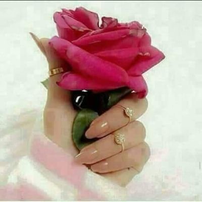 ‏‏‏‏أستاذ جامعي