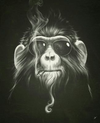 alexailic's profile picture. 