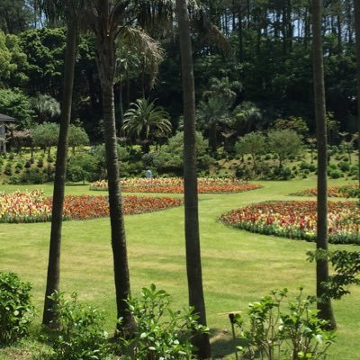 スポーツ、政治、軍事、旅行、ソロキャンプなど、なんでも興味あり。初心者だけどよろしくね。
