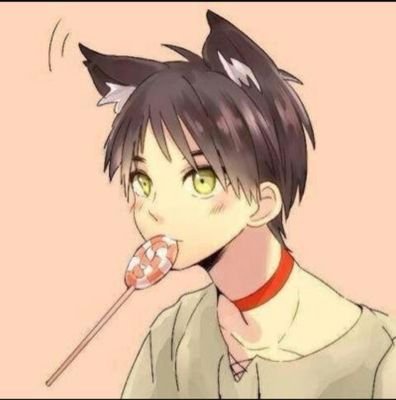 hello i am eren i am a neko i still change into a titan though. master:@AU_Bullies (ships with levi and chemistry and i play both dom and sub)
