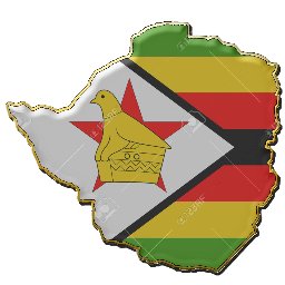 zimtodaynews1's profile picture.