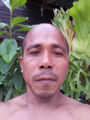 pr50999's profile picture. 