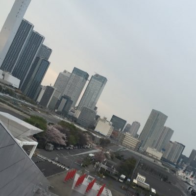 yikkBusi's profile picture. 