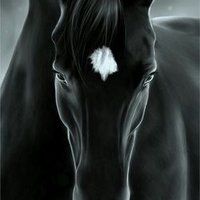 الجمالي_ابو_حسين (@n4hvioejsuh3qze) 's Twitter Profile
