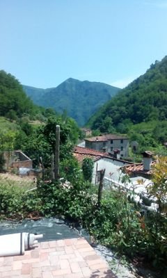 JohnNorth50's profile picture. I love Ireland but I hate the way we are all being taken for mugs, a socialist way is the only answer