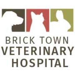 7 Doctor busy practice with dental specialist in Ocean County, NJ. Treating dogs, cats and pocket pets, we love to stay connected and discover advancements!