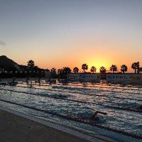 IRENE COLETTO (@irenecoletto) 's Twitter Profile Photo IRENE COLETTO (@irenecoletto) 's Twitter Profile Photo