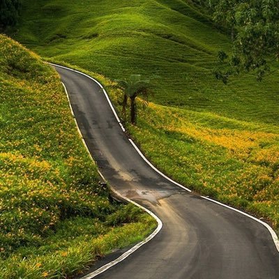 Huzefasa's profile picture. I am a psychiatrist with an interest in humans, enjoying the banter and liveliness of twitter, great to be here.