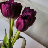 ♛ أ/ أسـمـاء ♛ (@somaa_1111) 's Twitter Profile