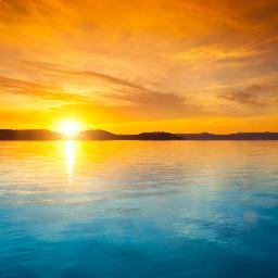 gilberto2218's profile picture. 