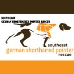 We are a close-knit group of volunteers in AL, FL, GA, MS, NC, SC & TN. We rehome German Shorthaired Pointers. Inquiries: info@segsprescue.org