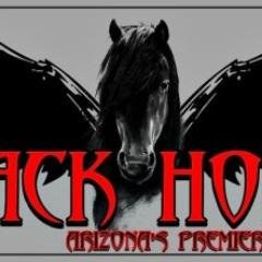 Established in 2007, Black Horse has become one of the premier variety cover bands in Arizona. You do not want to miss ANY chance to see these guys play!!